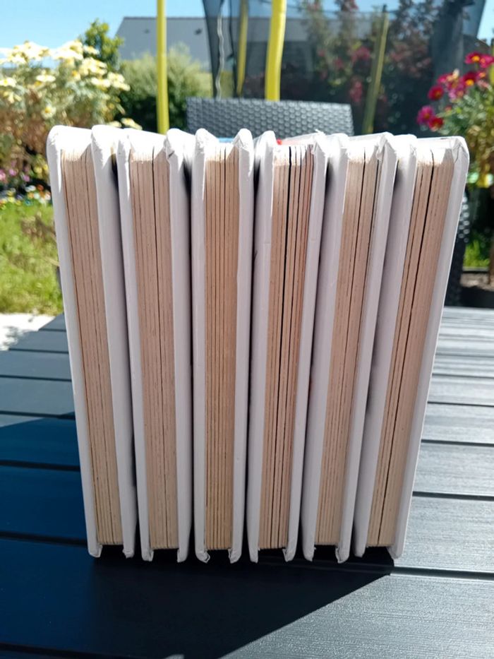 Lot de 5 livres P'tit Garçon tbe + 1 offert - photo numéro 11
