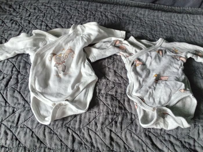 Bodies