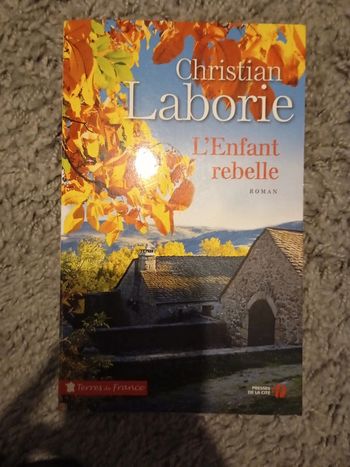 L'enfant rebelle