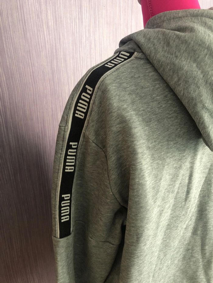 Pull puma - photo numéro 4