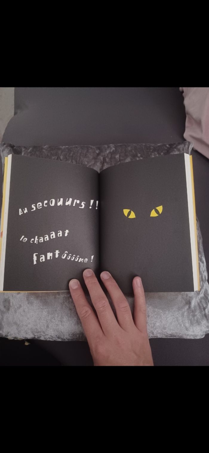 Livre Géronimo Stilton Tome 6: Le fantôme du métro 🚇 - photo numéro 3