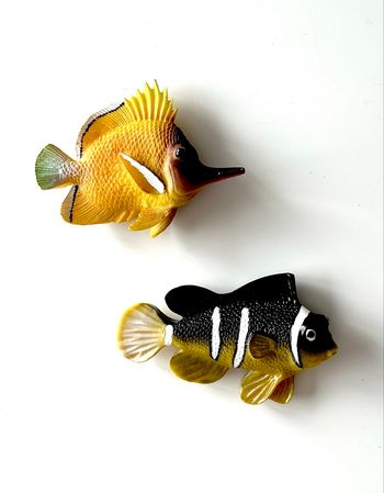 Deux poissons aimantés en résine 