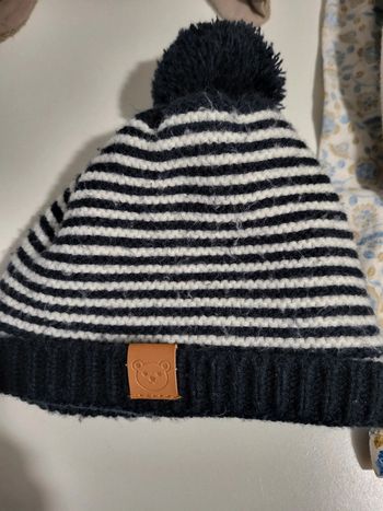 Bonnet