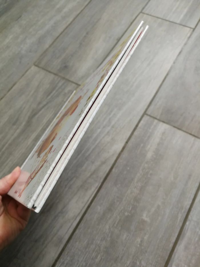 La Fée Baguette et la sorcière Traknar - photo numéro 5