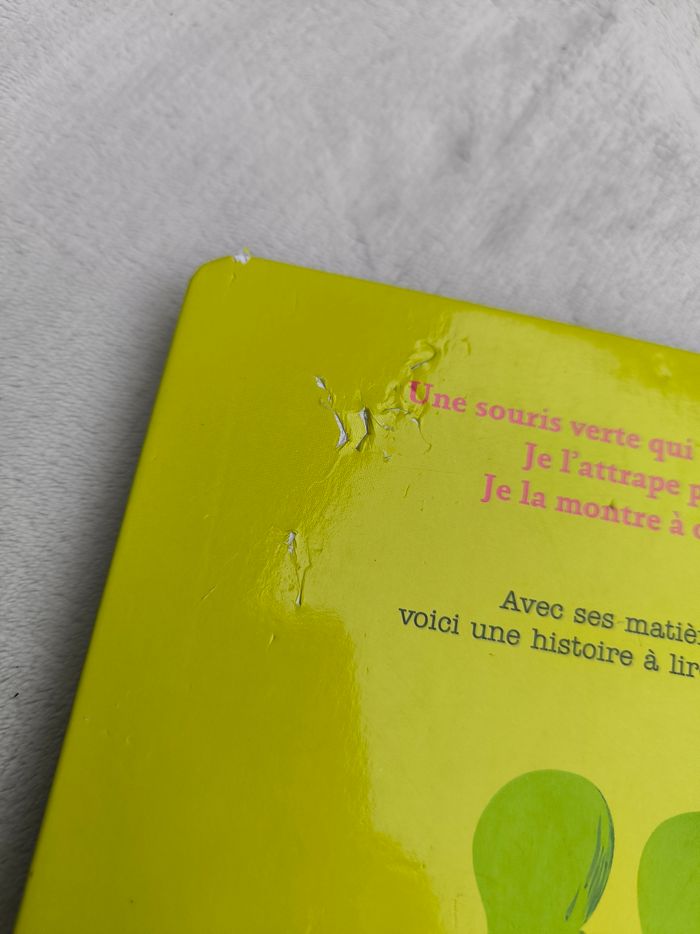 Livre Une souris verte Milan - photo numéro 8
