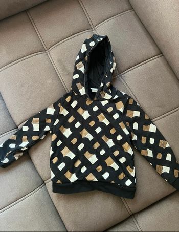 Pull à capuche Hugo boss
