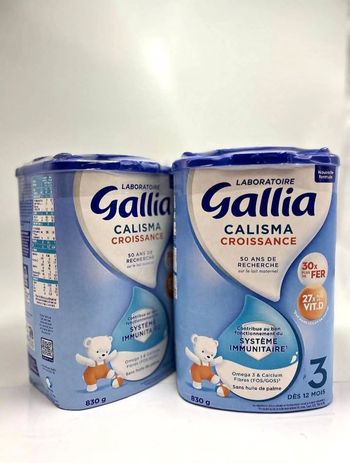 Gallia 3 ème âge
