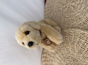 Peluche Anna Club Holland Chiot Golden Retriever Assis Beige