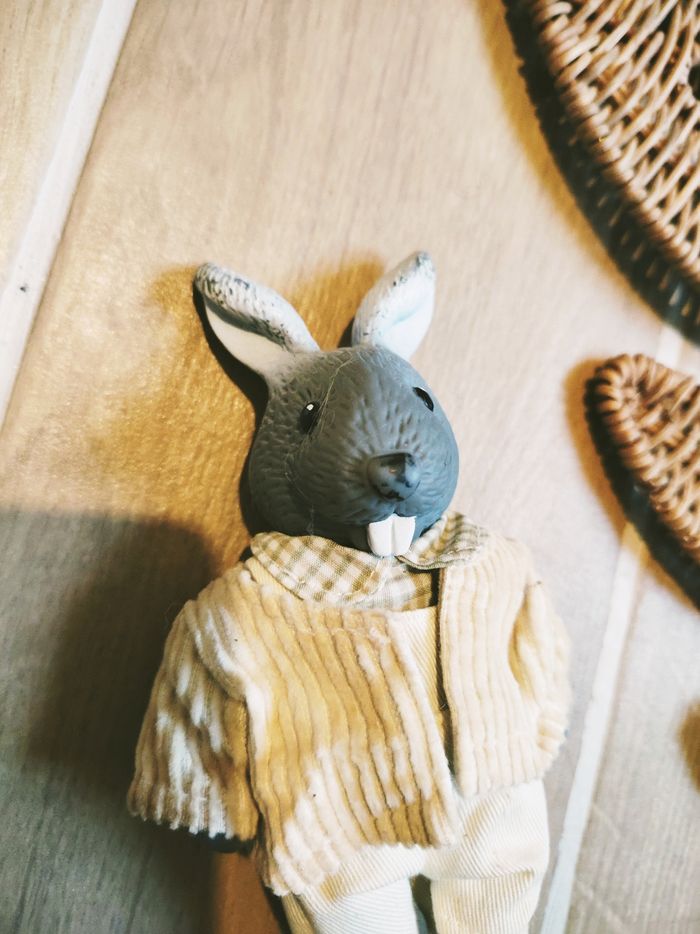 🐰Poupée petit lapin avec sa veste Les copains de la forêt marque Berchet - photo numéro 2