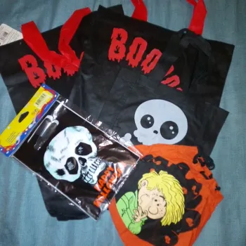 Lot de 10 sacs bonbons halloween
