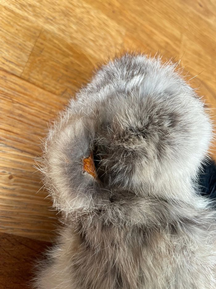 Peluche kiki - photo numéro 4