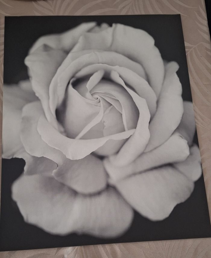 Lot de 2 toiles/ affiches imprimé fleurs noir et blanc - photo numéro 3