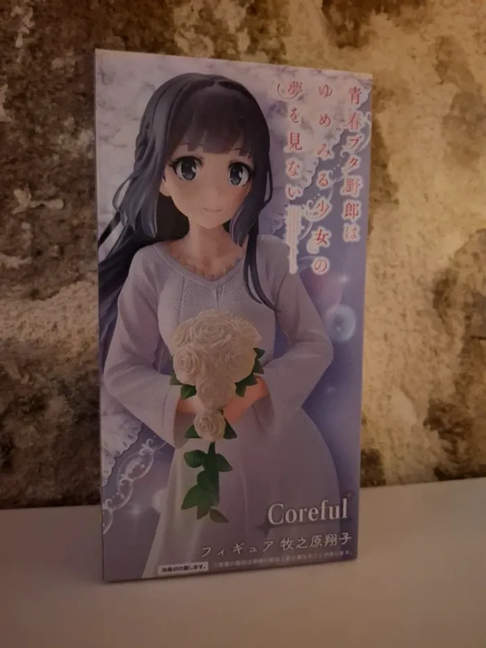 Coreful shoko Makibohara