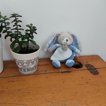 Doudou lapin Doudou et Compagnie très bon état