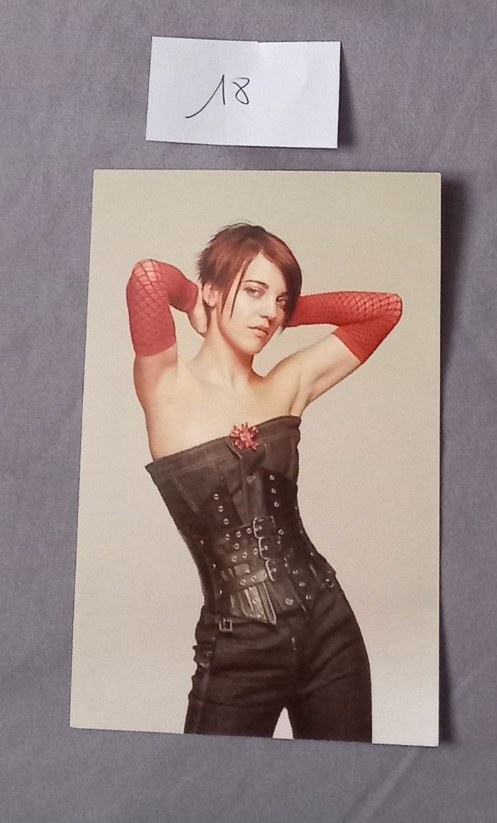 Cartes Panini L5 - photo numéro 6