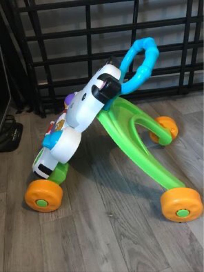 Trotteur zèbre - photo numéro 2