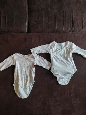 Lot de 2 Bodies manches longues taille 6 mois