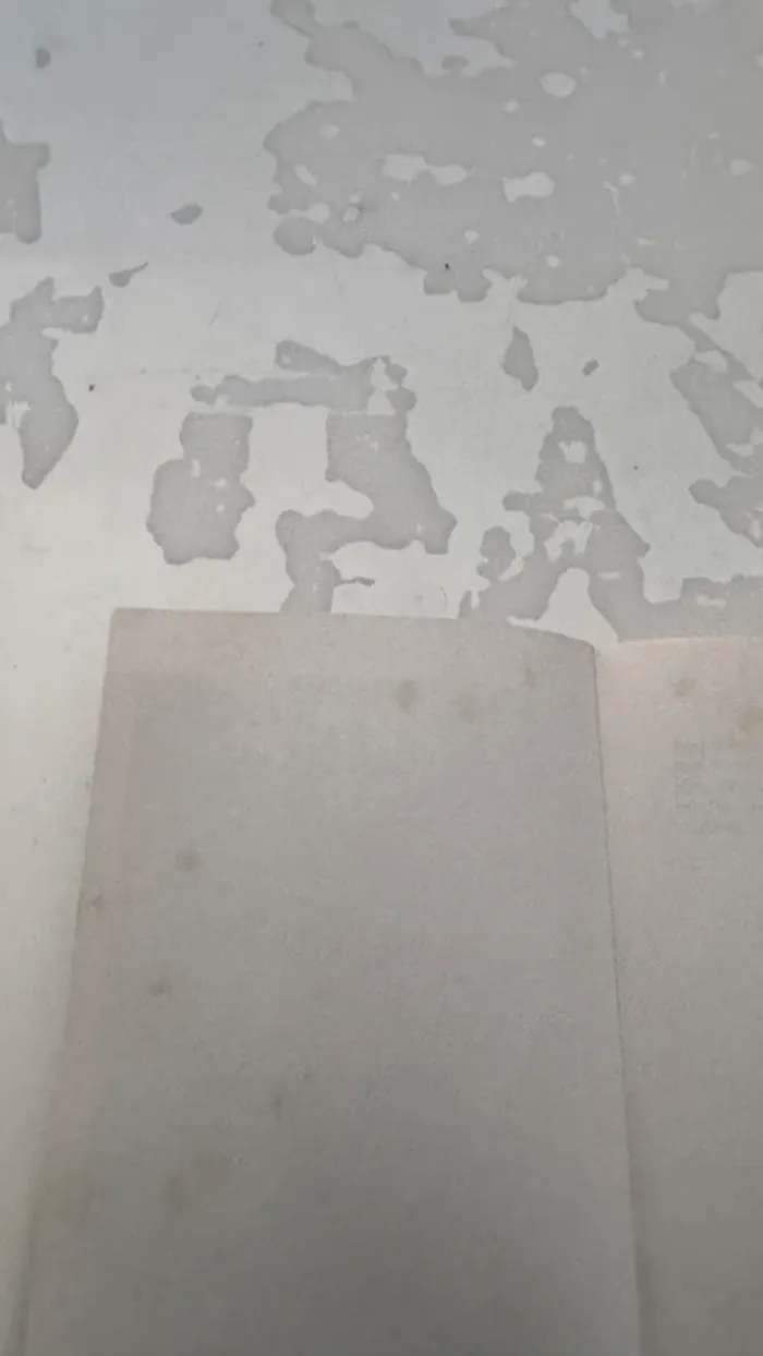 📚 Si je reste – Gayle Forman - photo numéro 5