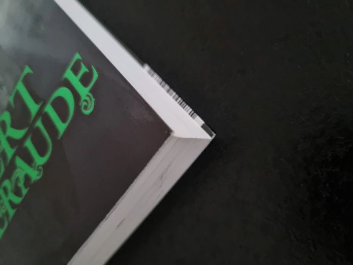 Vert Emeraude de Kerstin Gier - photo numéro 7