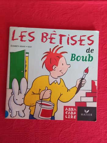 Livre pour enfant Les bêtises de Boub