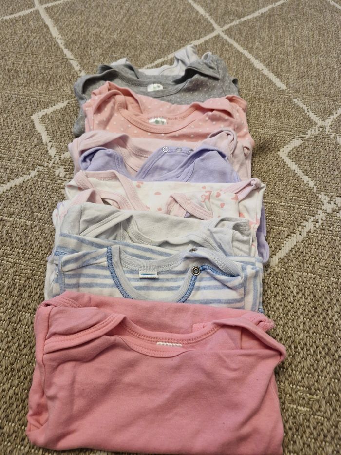 Lot  9 bodies