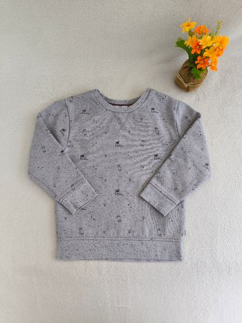 Sweat garçon Okaïdi 4 ans