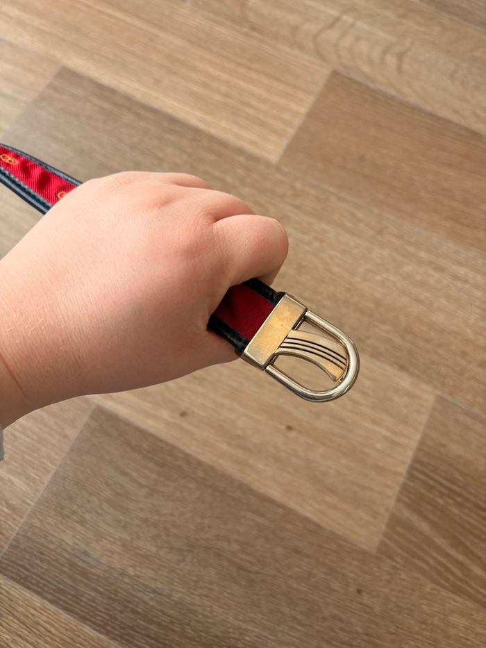 ceinture - photo numéro 2