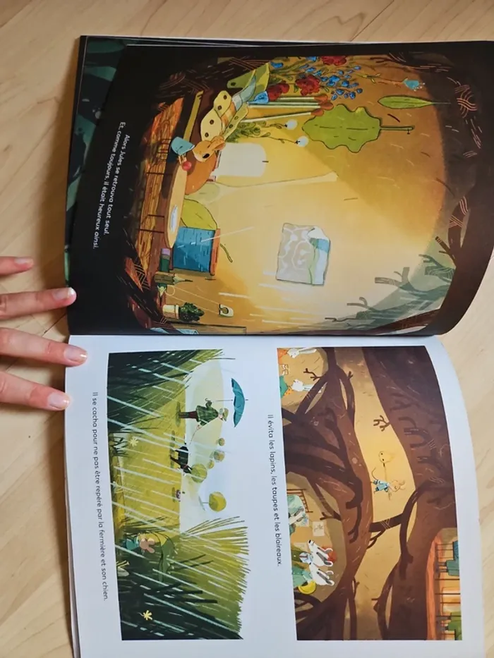Jules et le renard - photo numéro 5