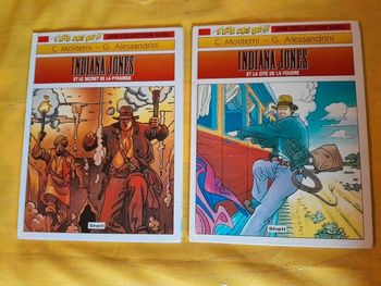 Lot de 2 BD Vintage (1994) Indiana Jones L'été des BD de Shell