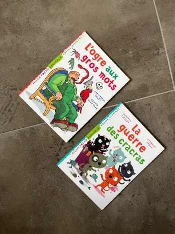 Lot de 2 livres 6/7 ans premières lectures