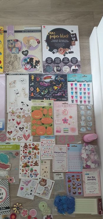 Lot pour scrapbooking 