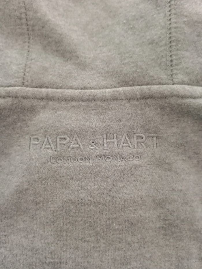 Sweat gris luxe Patrice Papa & Hart Steve des worlds apart L - photo numéro 4