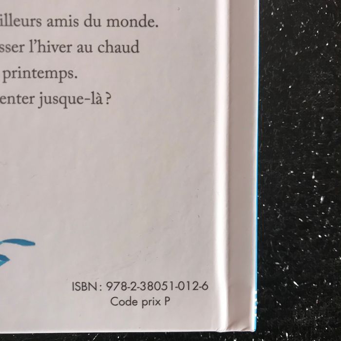 Une hirondelle  * prix 🏷 1e * kiki60230 - photo numéro 4