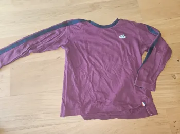 T-shirt shark