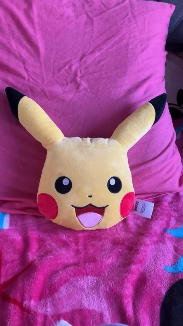 Coussin (petit)
