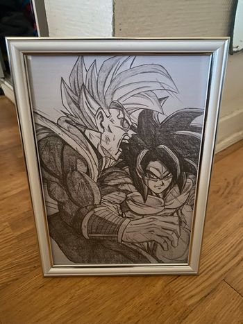 Cadre dragon ball 
