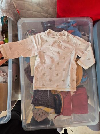 T-shirt cygne à manche longue