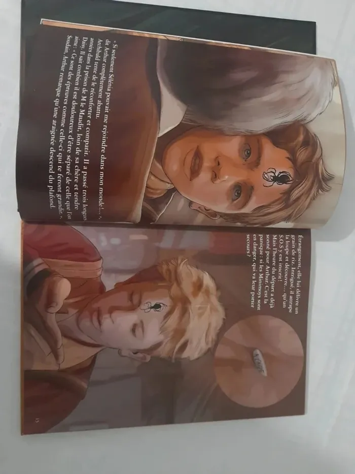 Livre Arthur et la vengeance de maltazard de Luc besson 6/8ans - photo numéro 14