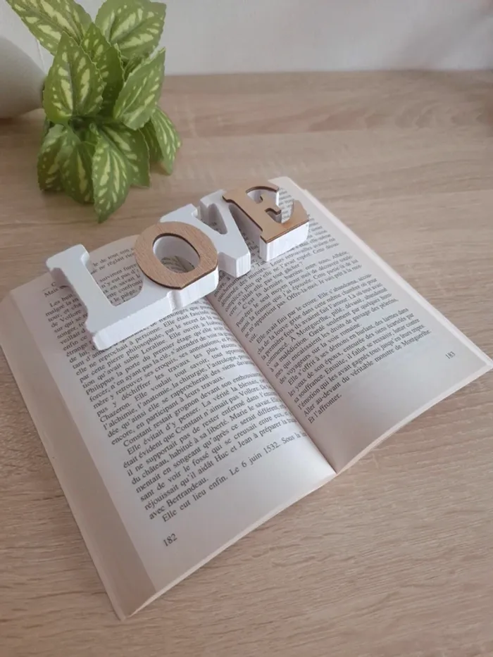 Livre / Le bal des louves tome 2 - photo numéro 6