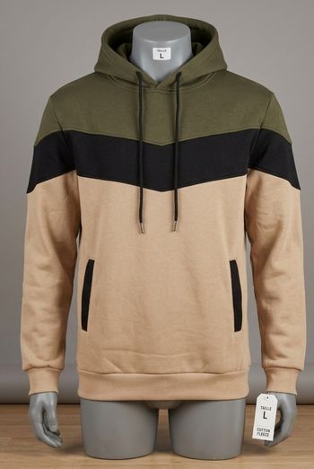 Sweat homme a capuche taille 40 la.maison du pull