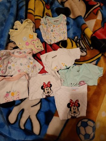 Boddy a manche courte