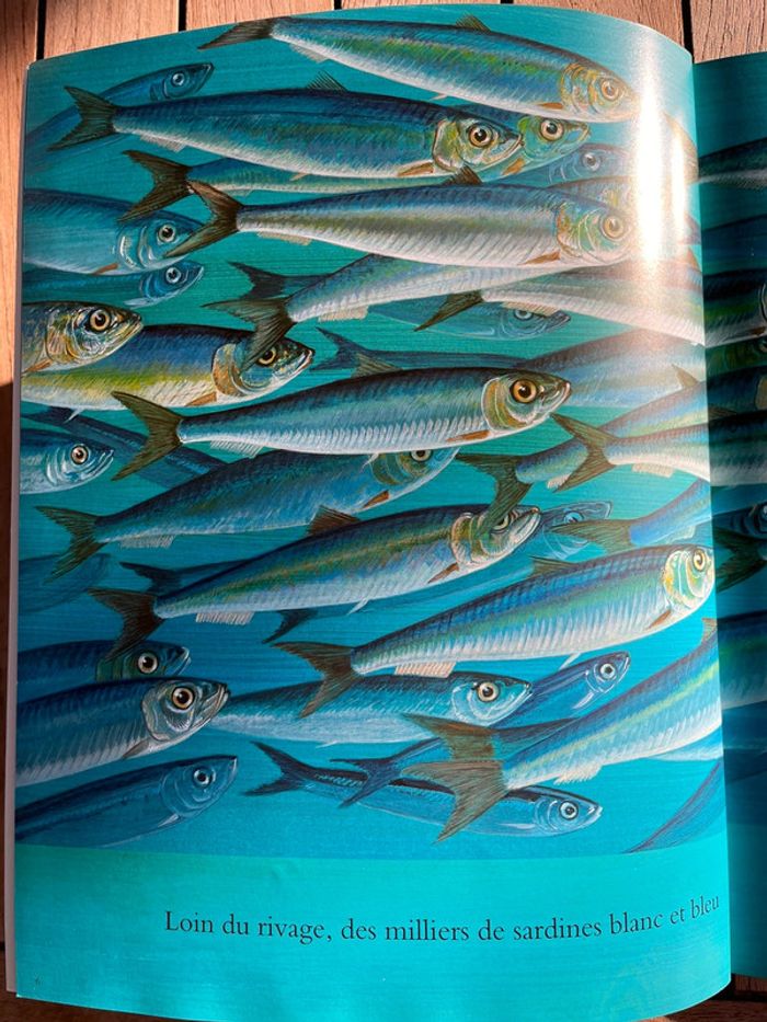 livre jeune - photo numéro 3