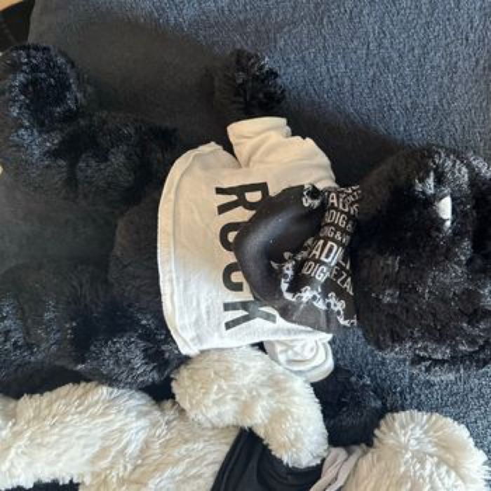 Lot 2 doudous Zadig et Voltaire - photo numéro 2