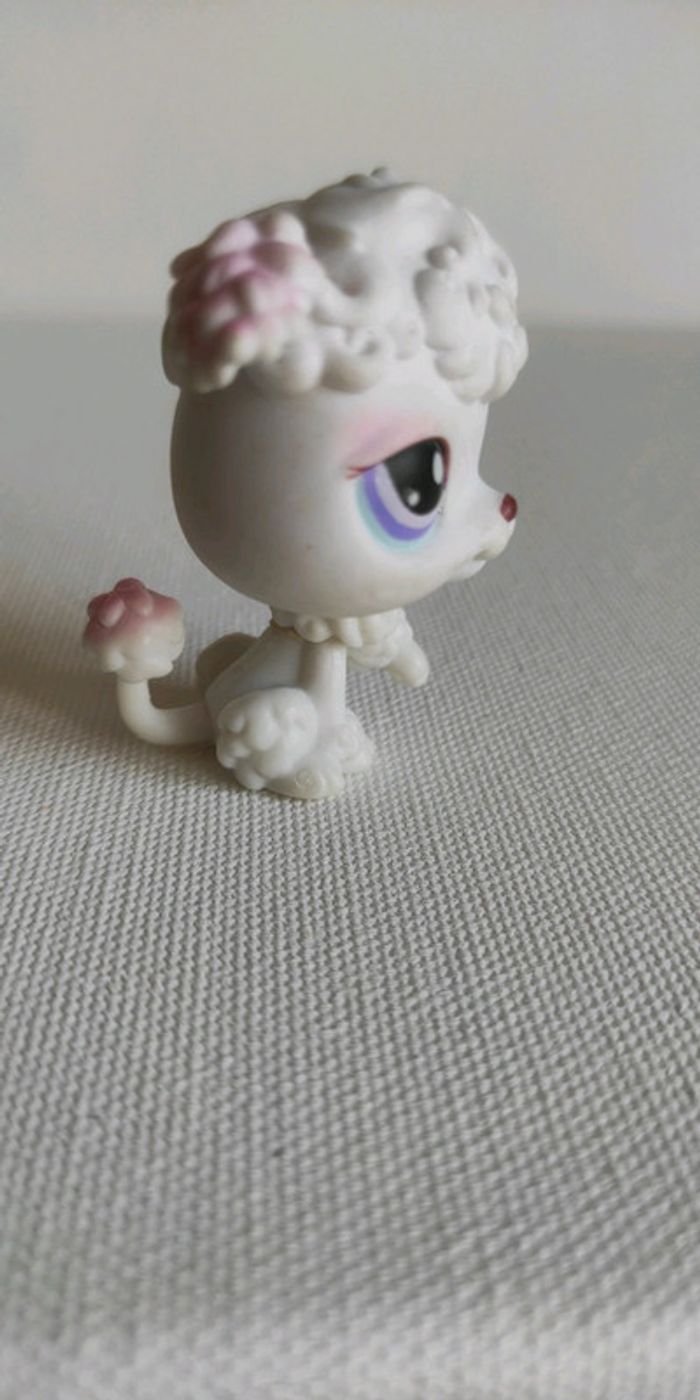 My littlest petshop chien lps caniche 101 - photo numéro 3