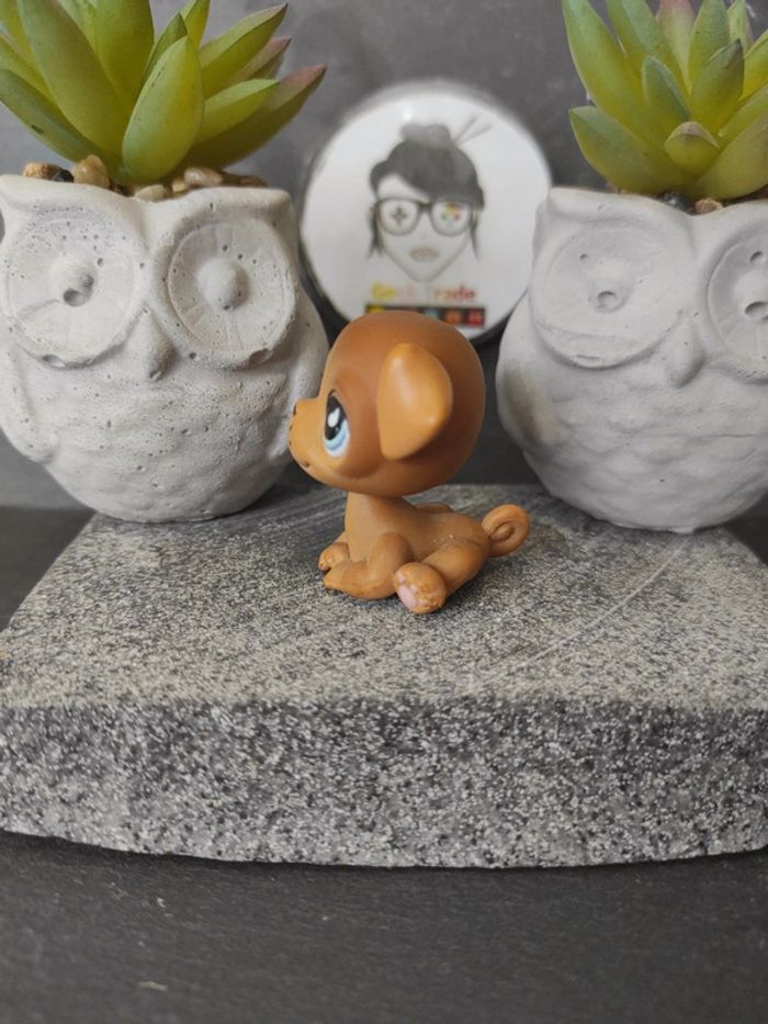 My Littlest Petshop  Pet Shop LPS dog chien carlin 786 / 901 #geektradelpschien - photo numéro 4