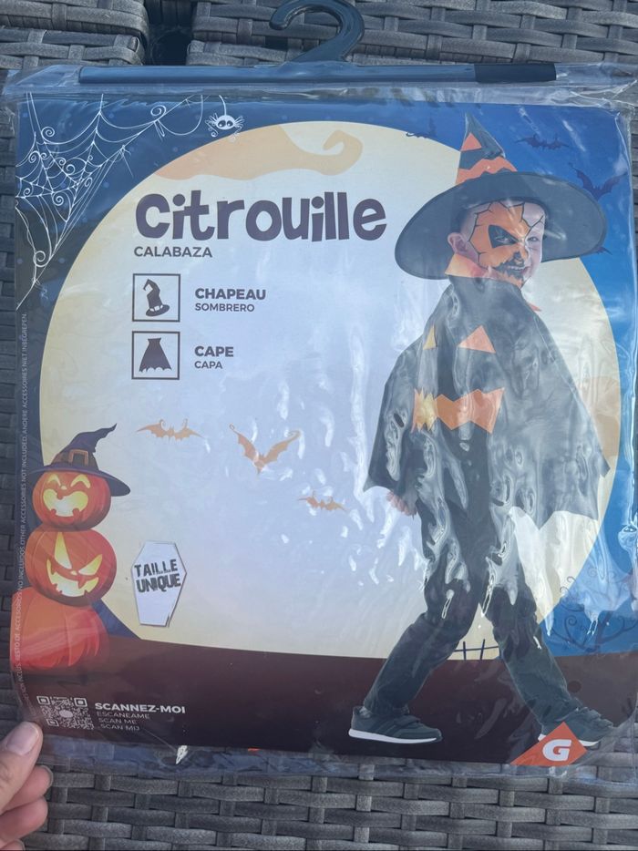 Costume citrouille Halloween - photo numéro 5