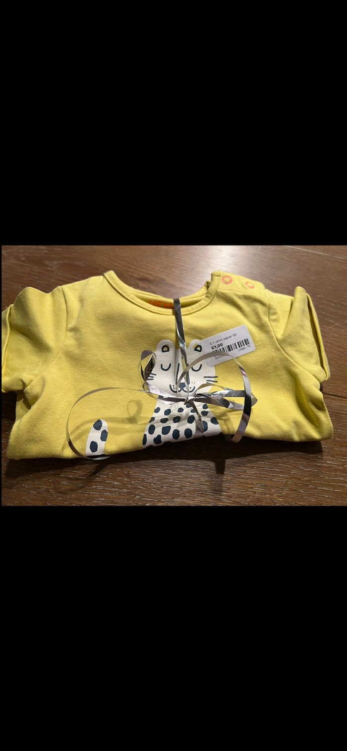 Lors de bodies - photo numéro 8