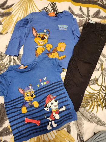 Ensemble paw patrol