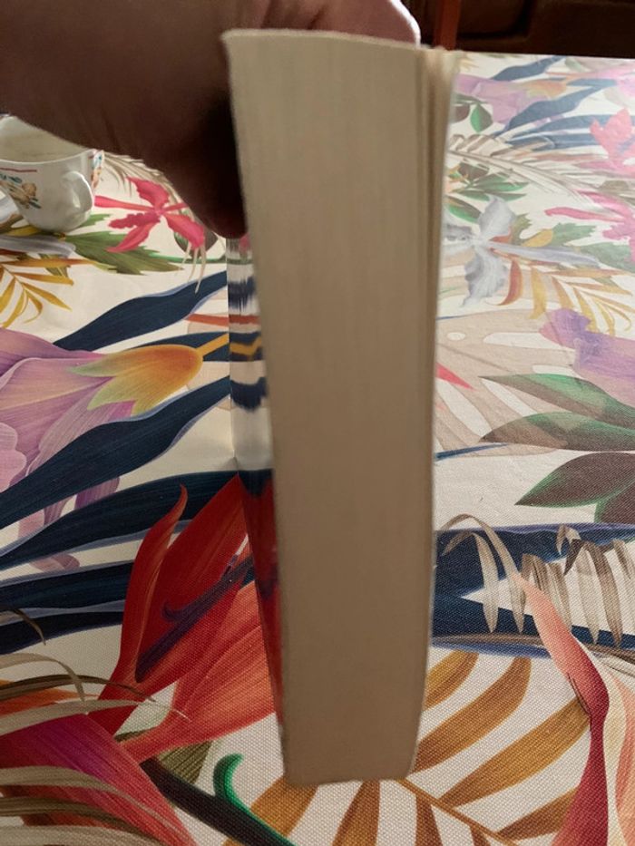 Richard Hawke “Impossible à lâcher Michael Connely “ La peau du diable - photo numéro 7