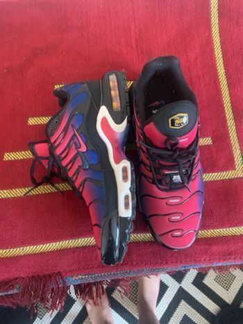 Nike Air Max Plus Patta (possible de négocier entre 40 et 30€